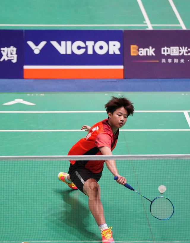 顺应补丁目 顺应补丁目